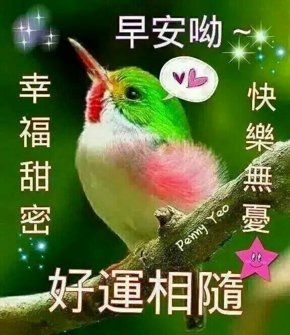早安 表情集