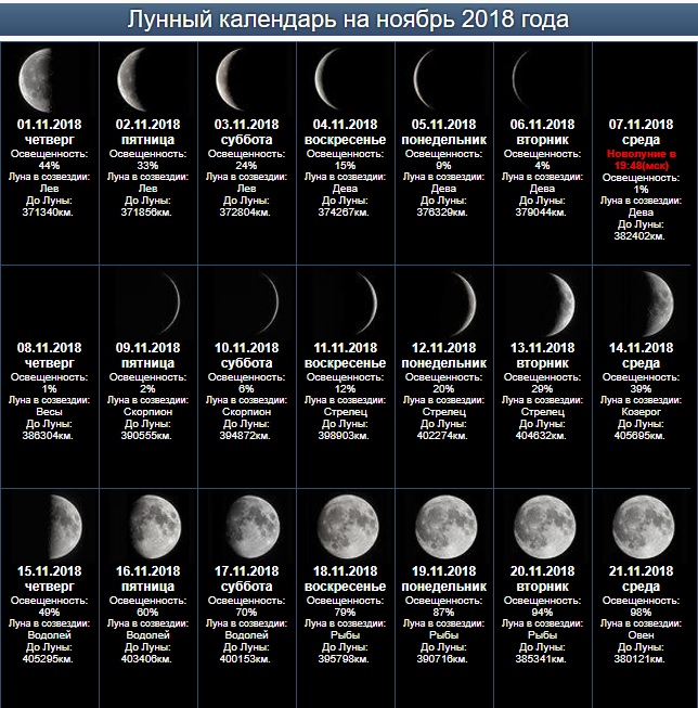 Лунный Гороскоп На февраль 2023 Года