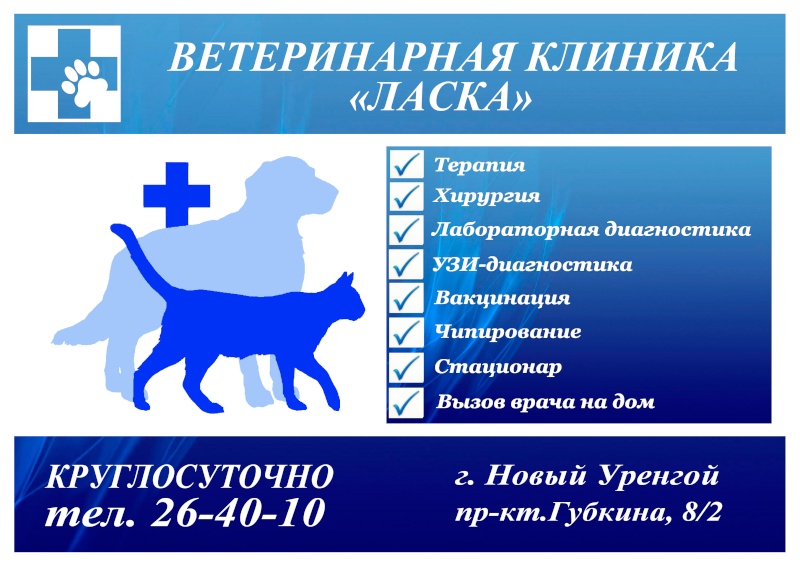Ветеринарная Аптека Сокольники