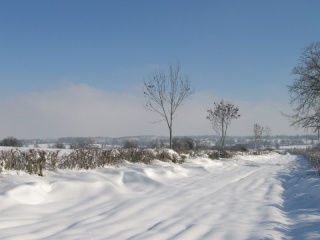 photos de la neige.... 25_01_17