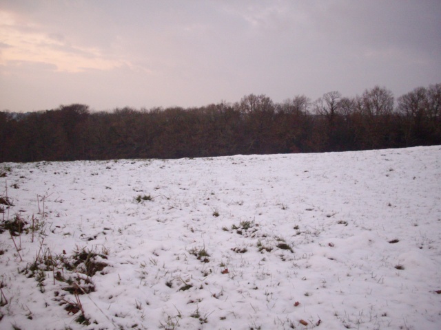 Rsultat des averses neigeuses du 18 dcembre 2009 Imgp2915