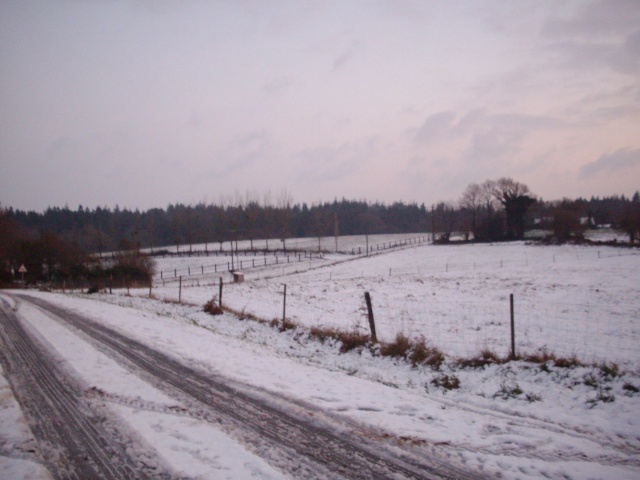 Rsultat des averses neigeuses du 18 dcembre 2009 Imgp2916