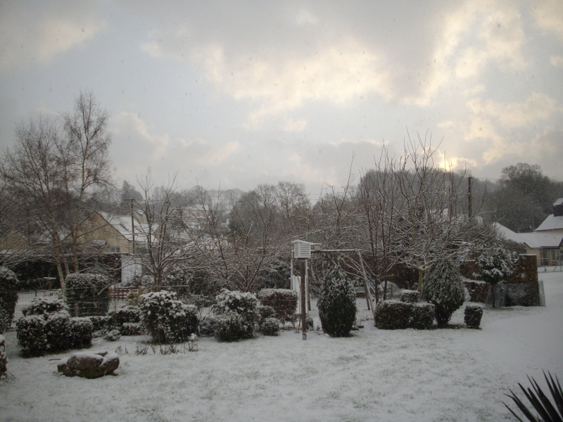 Photos de neige du 7 et 9 dcembre Imgp3020