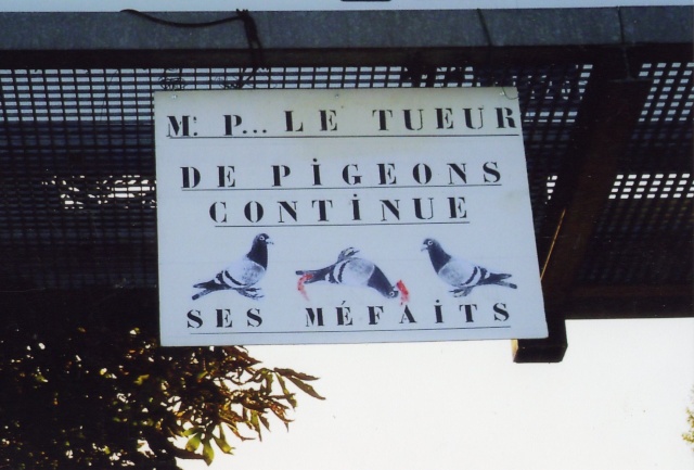 (B)Monsieur P....,le tueur de pigeons devant les tribunaux Img02310