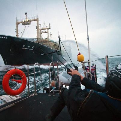 'Un navire de Sea Shepherd a intercepté un navire usine…. Peches10