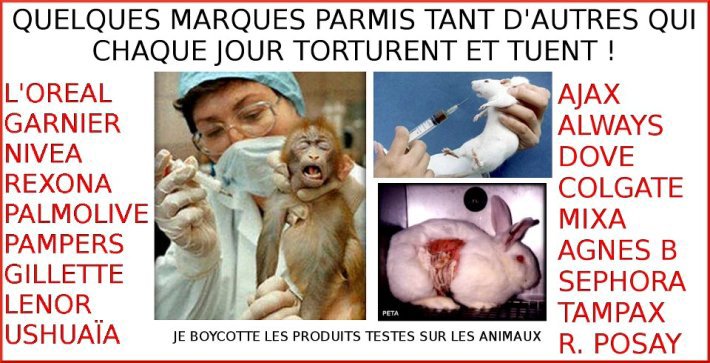 Vivisection - Fin des tests sur les animaux en Mars 2013 ?  Vivice10
