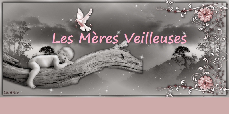 Les mres veilleuses - Forum du Qubec - Portail Logo_h11