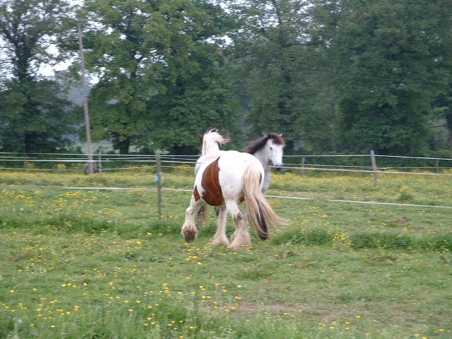 Twan en habit d't... avec quelques degats Dscf0021