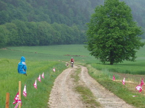 Championnat suisse 2007 (canicross, bike-jo, trotinette) 2eme_m11