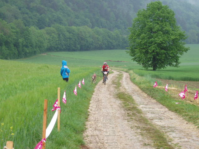 Championnat suisse 2007 (canicross, bike-jo, trotinette) 2eme_m12