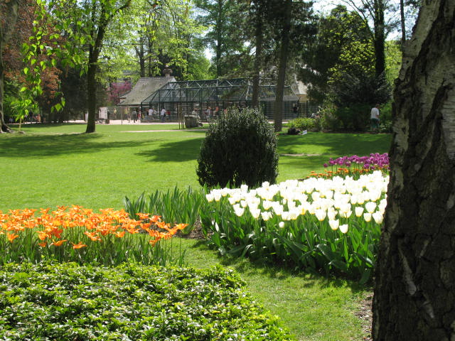 Le parc de l'Orangerie Img_0321