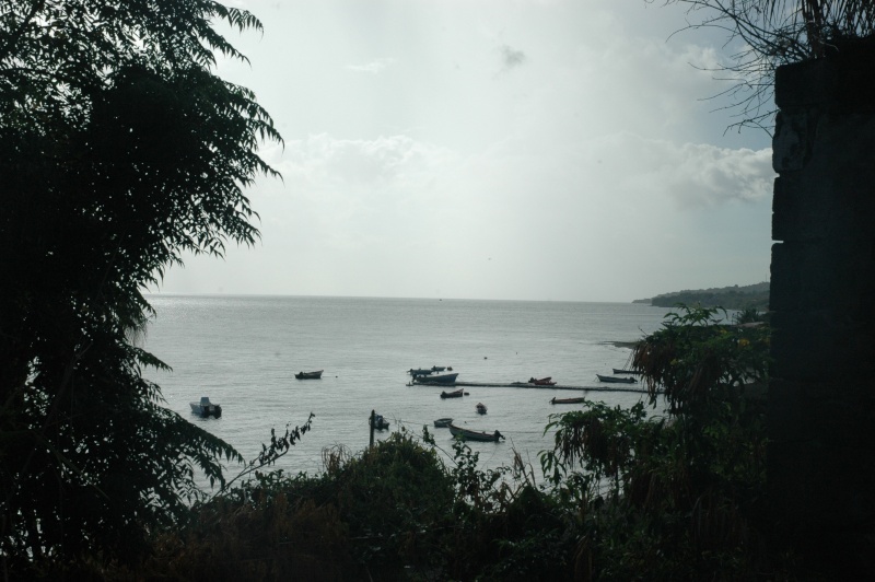 Mes Wacances à la Martinique Martin22