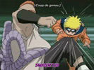 Technique Taijutsu Shoush11