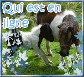Qui est en ligne ?