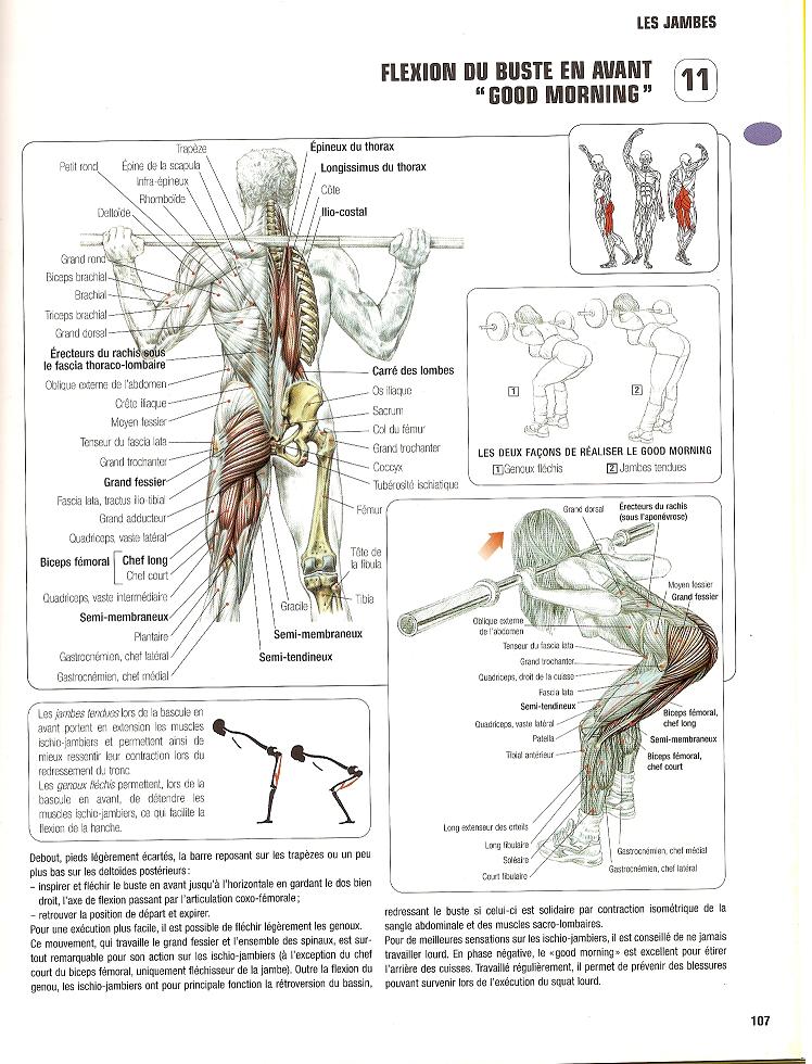 Lombaires: Tous les exercices Good_m10