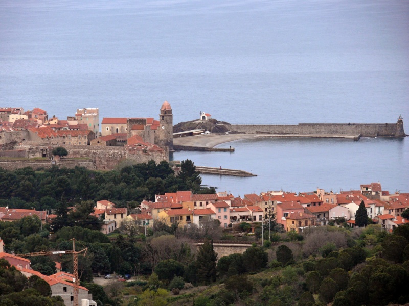 Collioure sous un ciel gris!! P1060913