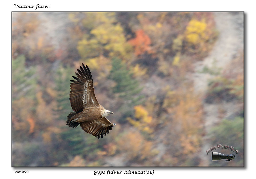 petite visite a Remuzat Drome  _mg_9038