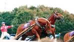 La course de chevaux Banei Banei10