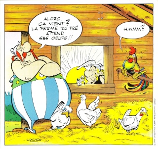 ma collection astérix  - Page 4 198810