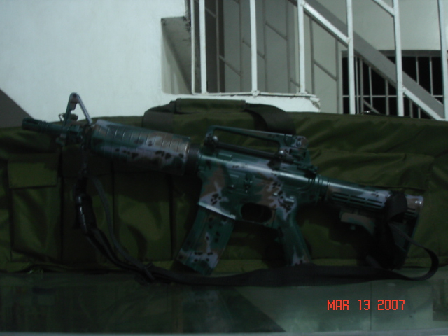 post your favorite guns here! (agpipinaapelo tayo)  =) Dsc05414