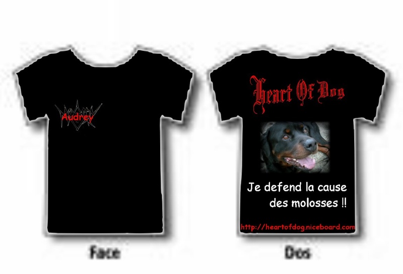 Le tee-shirt officiel de l'association... Modele10