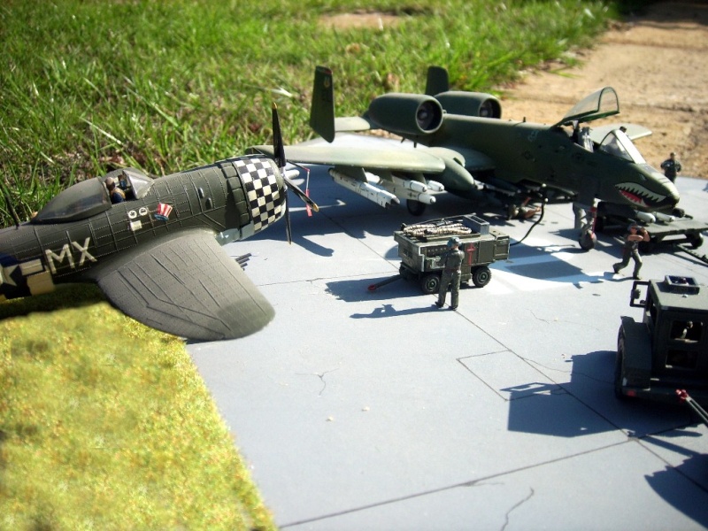 A 10 et P 47 "les razorbacks" 1/72  + de photos .. Dio_1610