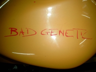 Voici le "Bad génétic" Simg2412