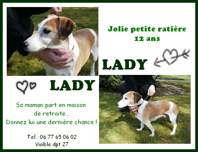 27 - LADY -  Ne la laissez pas tomber !!!!!!!!!!! Lady10