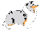 Sheltie d'argent Sheltie d'argent
