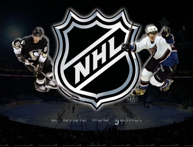 LIGUE DE HOCKEY SIMULE
