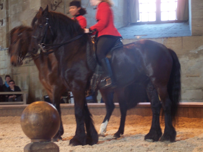 musée vivant du cheval 100_1815