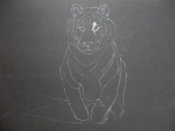 le tigre le retour: version pastel Ptigr110