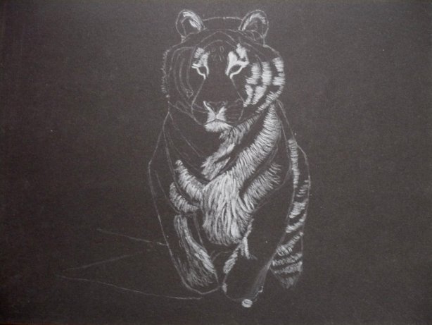 le tigre le retour: version pastel Ptigr210