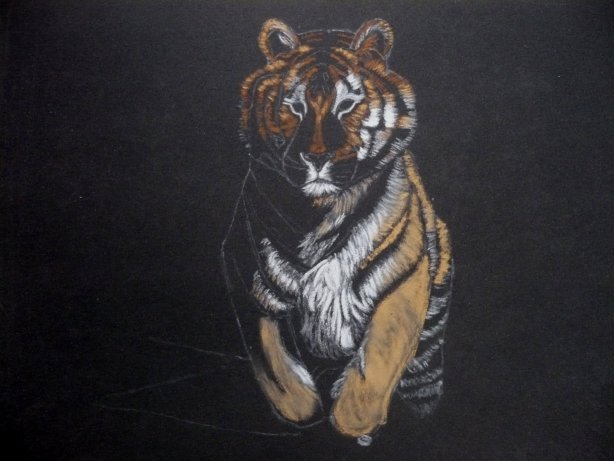 le tigre le retour: version pastel Ptigr310