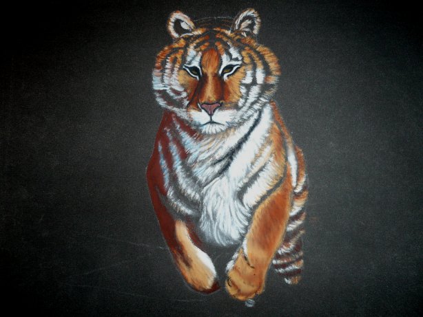 le tigre le retour: version pastel Ptigr610