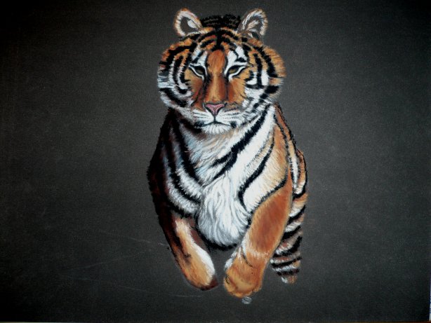 le tigre le retour: version pastel Ptigr710