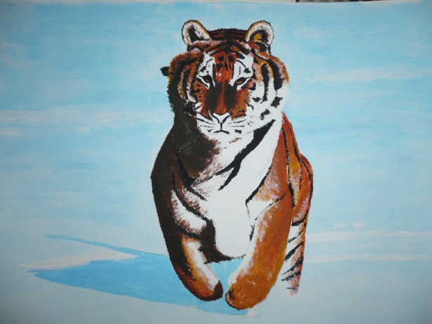 mes débuts à l'acrylique Tigre411