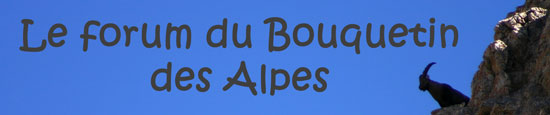 Le BOUQUETIN des ALPES