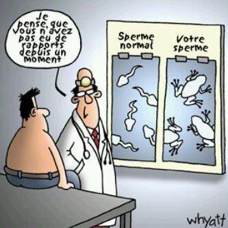 Humour en image - Page 6 Sperme10