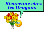 bonjour à tous! Dragon12