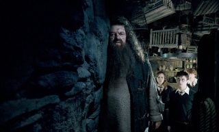 La Orden del Fénix Hagrid10