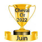 Résultats du Lundi 22/02/2021 Cheval87