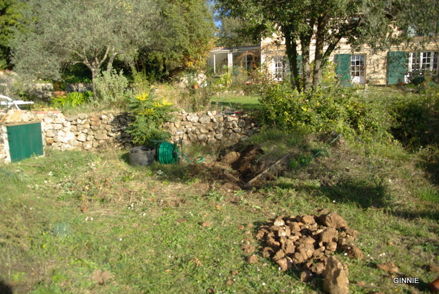 Quelques photos de mon jardin : gros projet 2013 : Evolution Mai 2014 Imgp5211