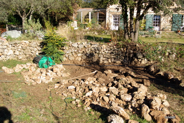 Quelques photos de mon jardin : gros projet 2013 : Evolution Mai 2014 Imgp5515