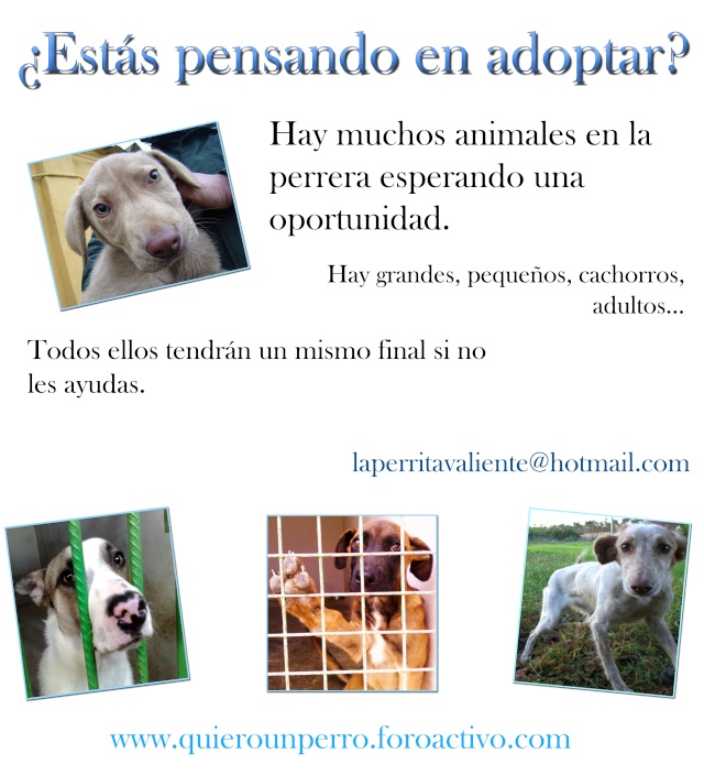 Carteles para difundir. Adopta10