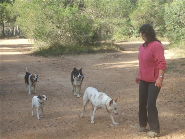 La tropa de Elena. Todos_10