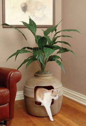 Bac A Litiere Feng Shui
