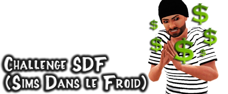 [Challenge sims 3] SDF (Sims Dans le Froid) Challe11