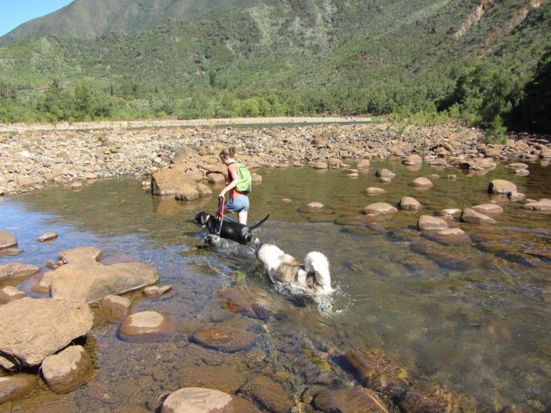 Balade à la rivière de Dumbéa  2013-444