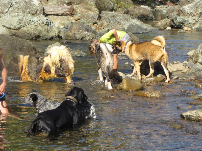 Balade à la rivière de Dumbéa  2013-469